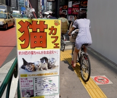 大人になったら…