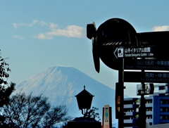 外国人墓地から撮った富士山