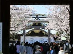 拝殿に向かう花見客