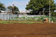 犬小屋のある更地