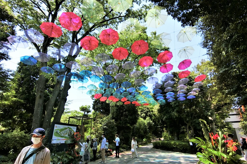 超広角は楽しい