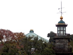 東京日和
