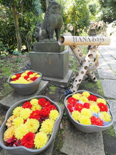 HANA＊BIYORIの狛犬