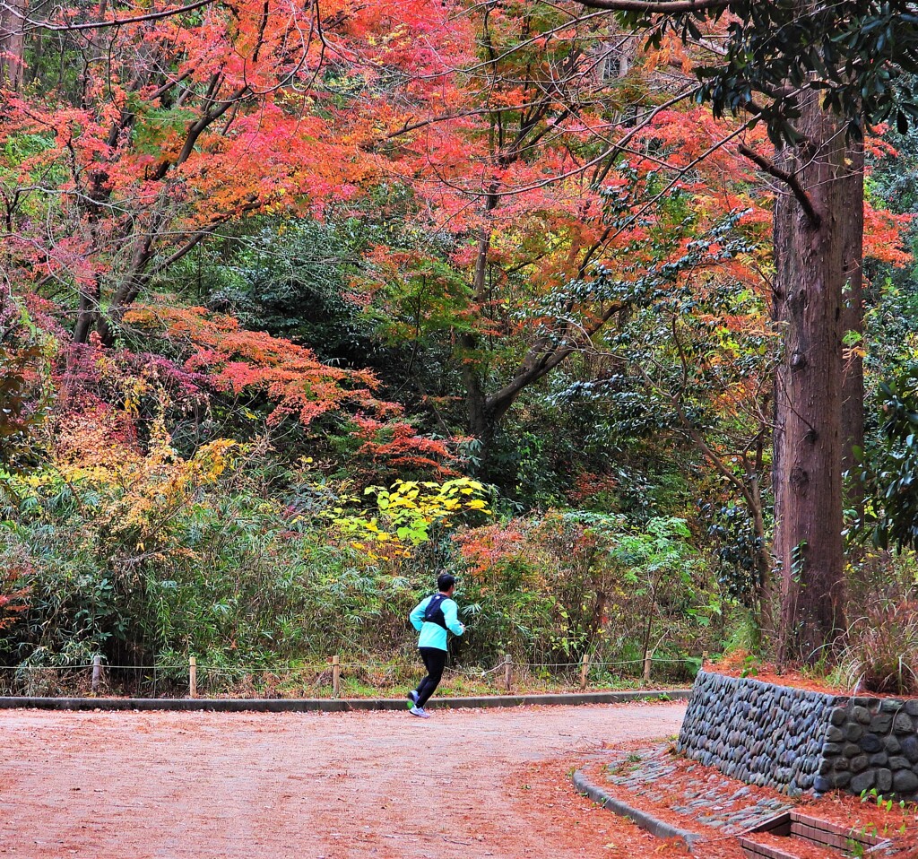 赤の広場