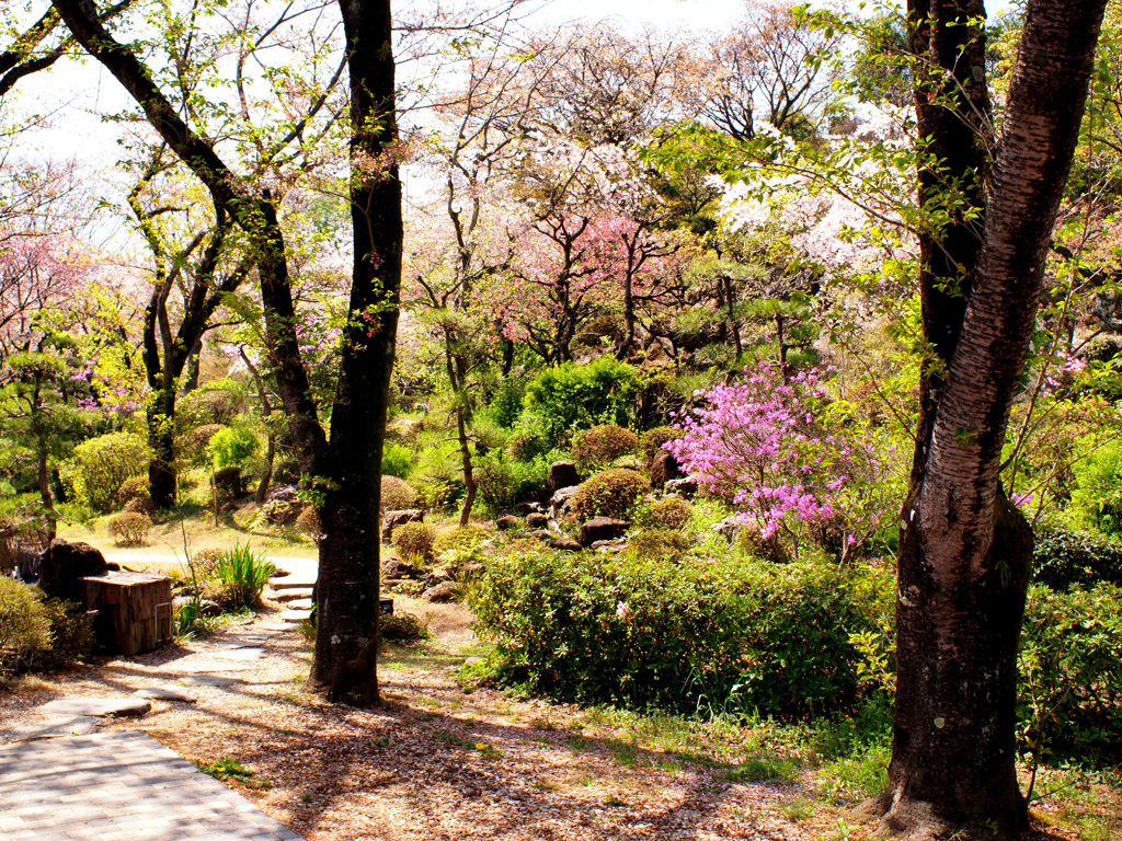 日本庭園