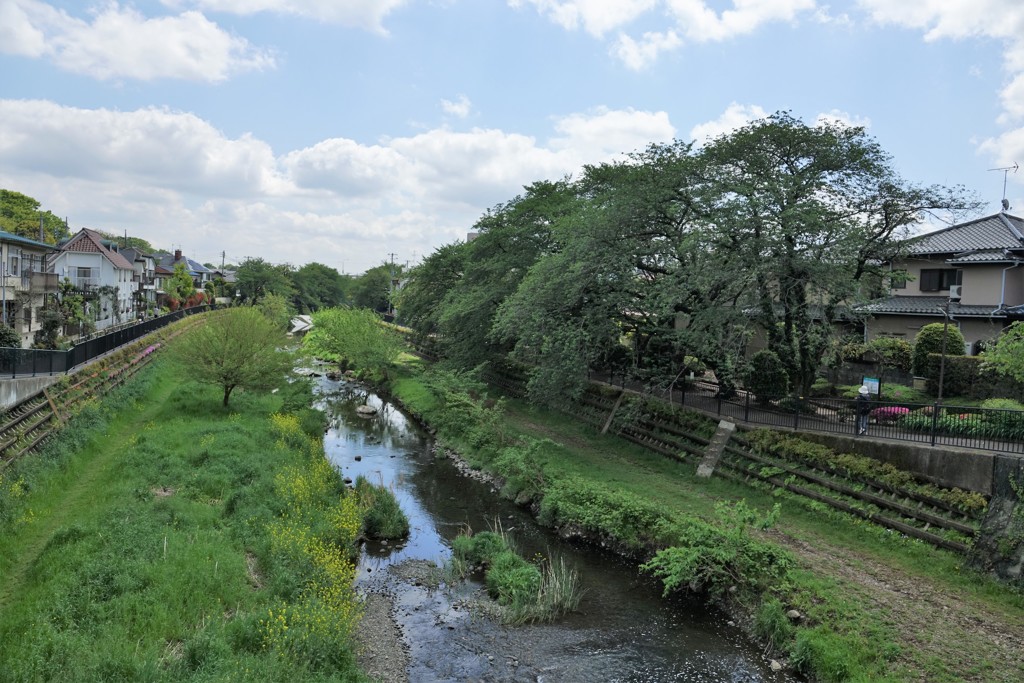 野川