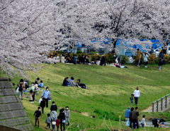 親水公園の人出