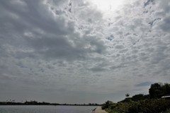 朝の多摩川河畔