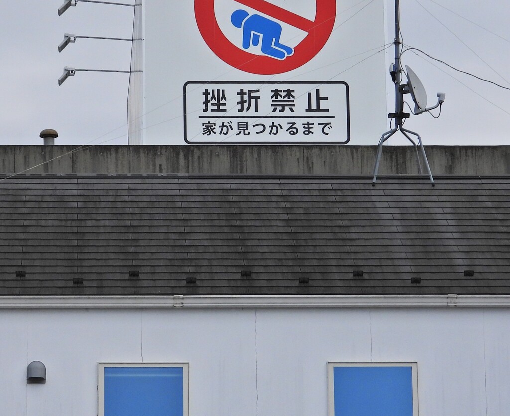 バカ受け ヾ(≧▽≦)ﾉ