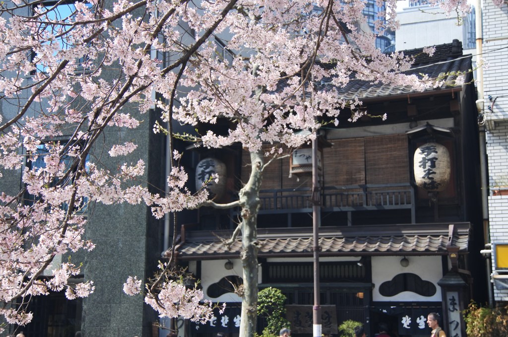 神田須田町の老舗そば屋