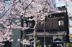 神田須田町の老舗そば屋