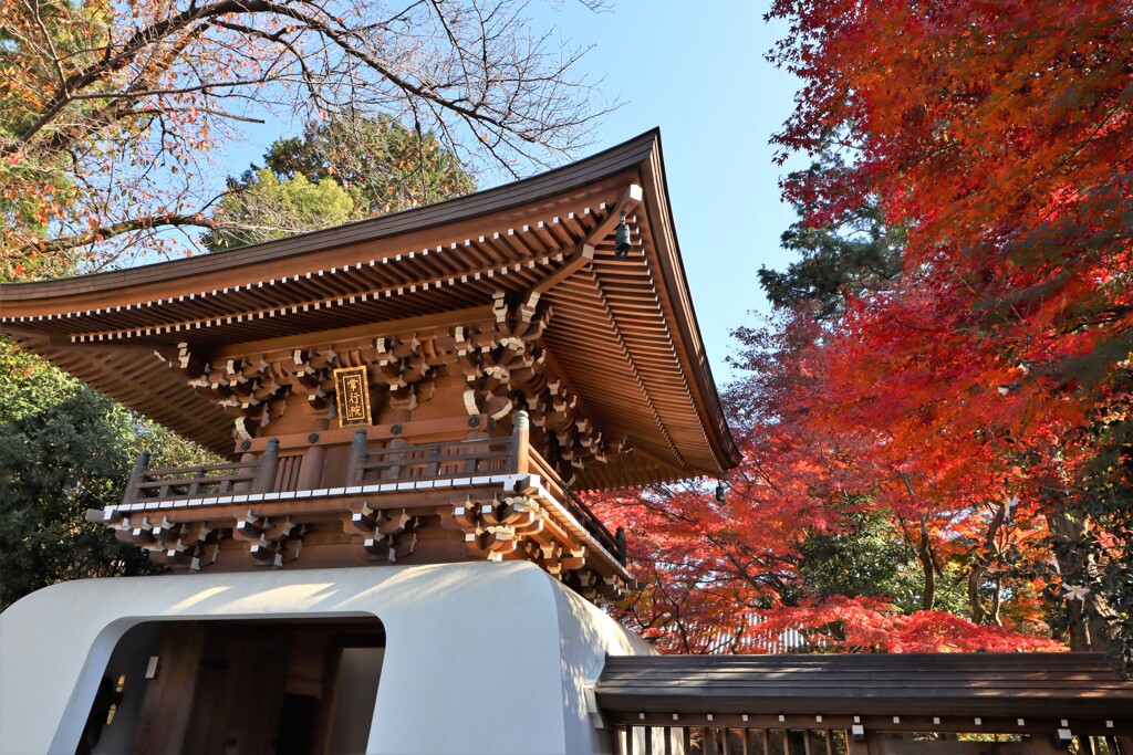 大正寺