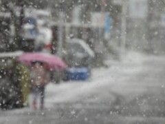 雪に合焦