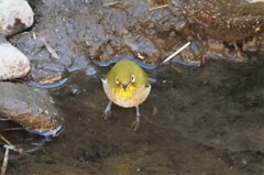 みてんじゃねーよ