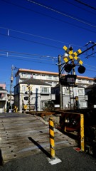 多摩川河畔　冬の散歩道