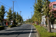 静まり返る街