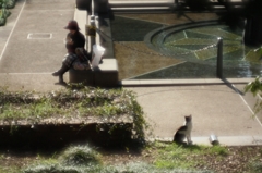 元町公園