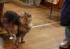 外に出たいよ～