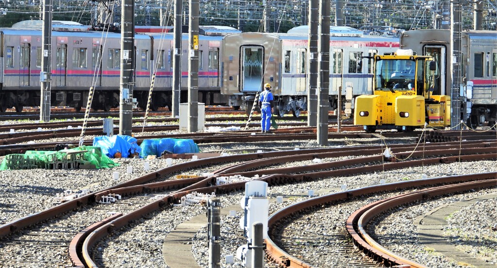 マキシンシャンターと遭遇