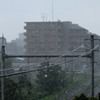 またもや雷雨