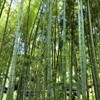 住宅地なので