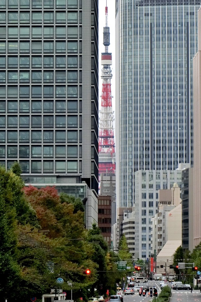 窮屈な東京タワー