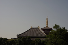 奈良？