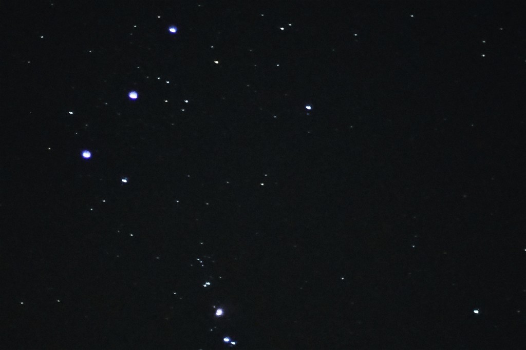 オリオン座の三星