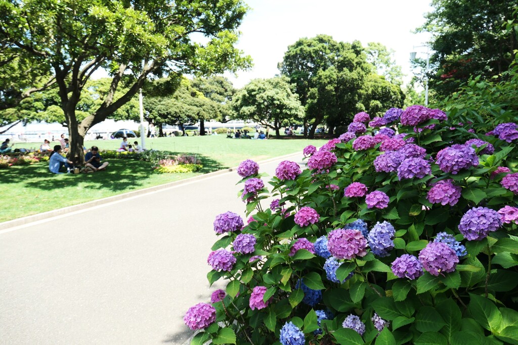 山下公園