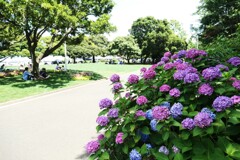 山下公園