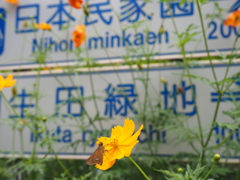 めざせ生田緑地