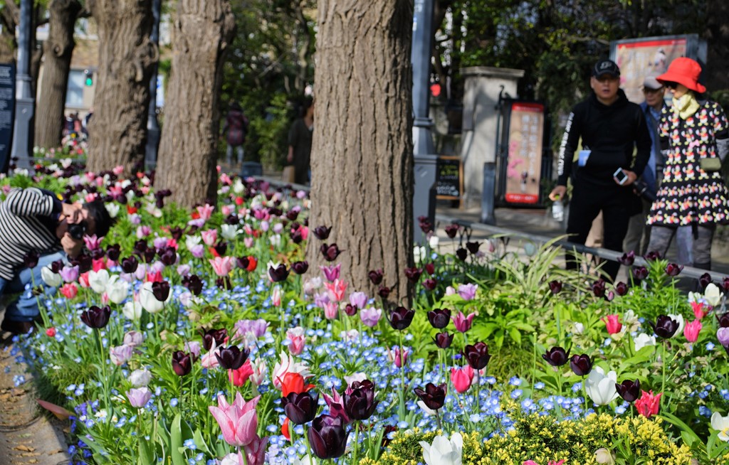 凄い体勢で撮ってます