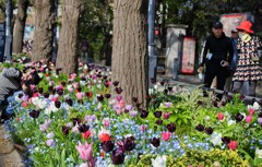 凄い体勢で撮ってます