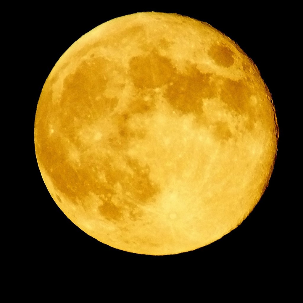 黄色い月のティコ By たま407 Id 写真共有サイト Photohito