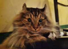 そんなに言わなくたって…