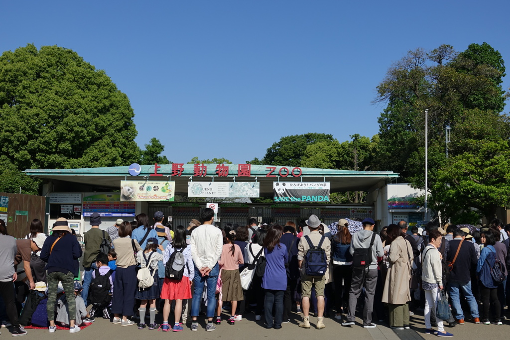 シャンシャン(香香)に会いに行く
