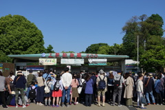 シャンシャン(香香)に会いに行く