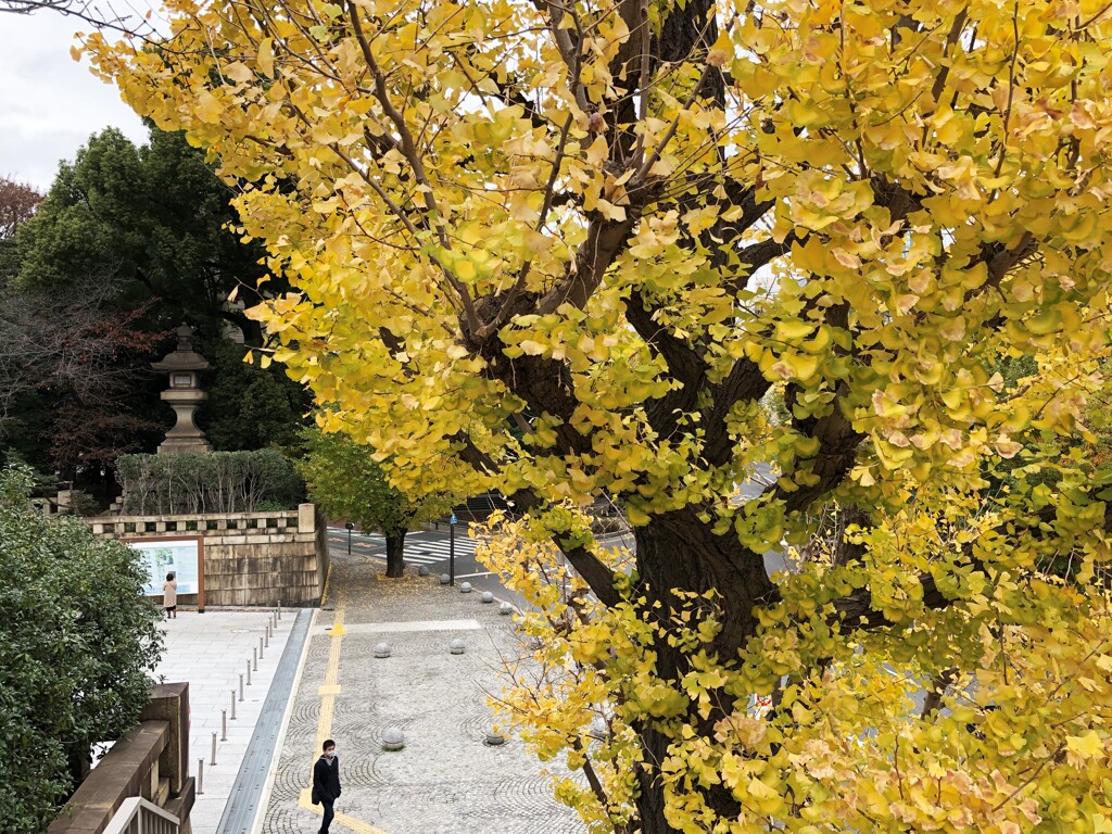靖国神社前