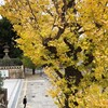 靖国神社前