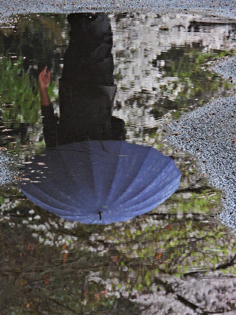 水たまり