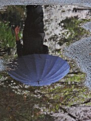 水たまり