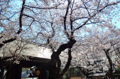 靖国神社