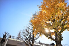 JR信濃町駅前