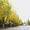 境内は何か違うのかも