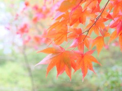さらにソフトに