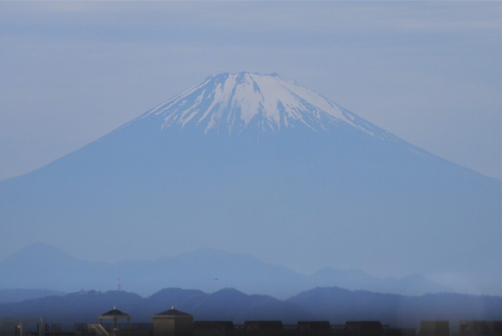 湘南モノレールの湘南江ノ島駅から
