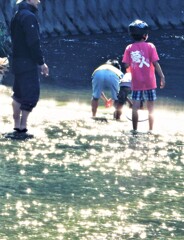 川遊び