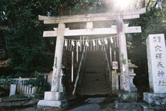 ここでも光が