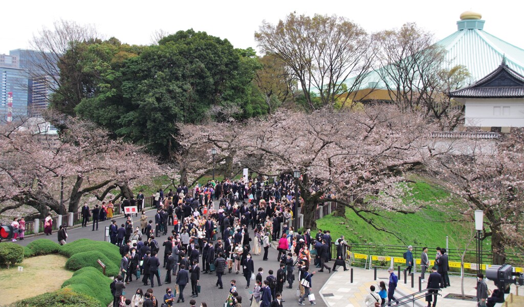 専修大学の卒業式