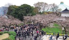 専修大学の卒業式